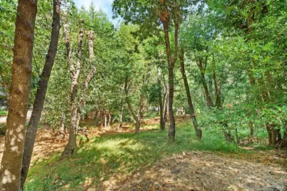 140 Francis Avenue, Fairfax, CA 94930 - Photo 24