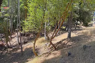 26006 Peacock Rd, Willits, CA 95490 - Photo 1