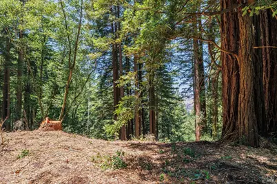 1401 Nicasio Valley Road, Nicasio, CA 94946 - Photo 20