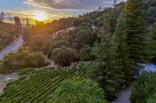 3588 N Silverado Trail, Saint Helena, CA 94574 - Photo 64