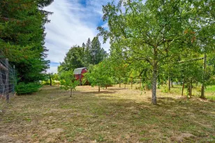 13190 Dupont Rd, Sebastopol, CA 95472 - Photo 36
