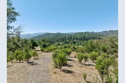 1128 Bennett Lane, Calistoga, CA 94515 - Photo 16
