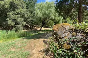 60731 Hwy 271, Leggett, CA 95585 - Photo 8