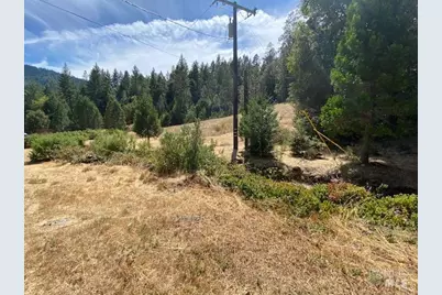 60731 Highway 271, Leggett, CA 95585 - Photo 10
