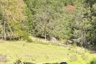 60731 Hwy 271, Leggett, CA 95585 - Photo 42