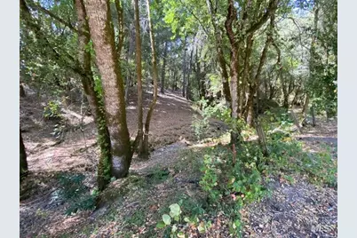 60731 Highway 271, Leggett, CA 95585 - Photo 14
