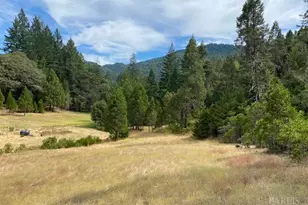 60731 Hwy 271, Leggett, CA 95585 - Photo 4