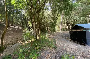 60731 Hwy 271, Leggett, CA 95585 - Photo 14