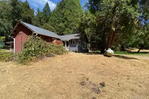 60731 Hwy 271, Leggett, CA 95585 - Photo 10