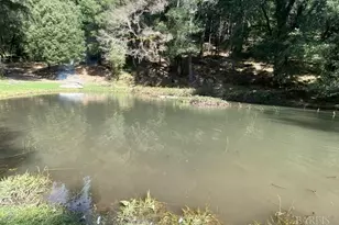 60731 Hwy 271, Leggett, CA 95585 - Photo 36
