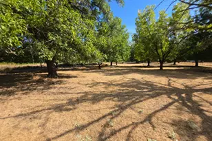 23175 Biggar Ln, Covelo, CA 95428 - Photo 70