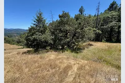 6355 First Gate Road, Willits, CA 95490 - Photo 16