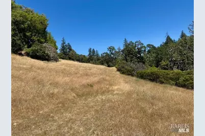 6355 First Gate Road, Willits, CA 95490 - Photo 10