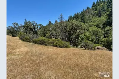6355 First Gate Road, Willits, CA 95490 - Photo 8