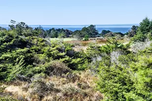 226 White Tail, The Sea Ranch, CA 95497 - Photo 30