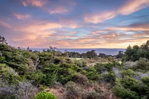 226 White Tail, The Sea Ranch, CA 95497 - Photo 82