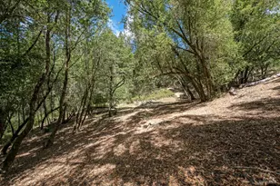 12956 Bones Ln, Sebastopol, CA 95472 - Photo 26