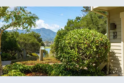89 Eucalyptus Knoll Street, Mill Valley, CA 94941 - Photo 30