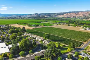 114 Vineyard Cir, Yountville, CA 94599 - Photo 68
