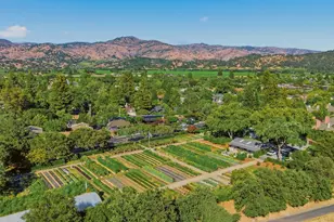 114 Vineyard Cir, Yountville, CA 94599 - Photo 6