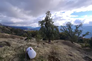 36700 Mendocino Pass Rd, Covelo, CA 95428 - Photo 30