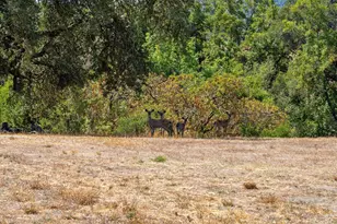 5151 Wild Horse Valley Rd, Napa, CA 94558 - Photo 84