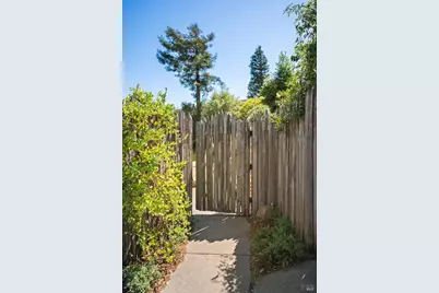 198 Lilac Lane, Mill Valley, CA 94941 - Photo 44