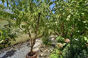 58 Arnold Dr, Novato, CA 94949 - Photo 6