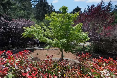 750 Wagnon Road, Sebastopol, CA 95472 - Photo 36