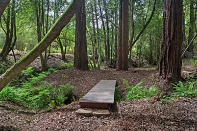 750 Wagnon Road, Sebastopol, CA 95472 - Photo 56