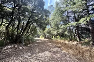 6675 Petersen Rd, Petaluma, CA 94952 - Photo 24