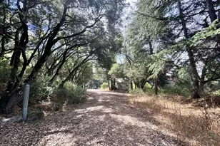 6675 Petersen Rd, Petaluma, CA 94952 - Photo 62