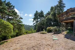 90 Dover Rd, Inverness, CA 94937 - Photo 40