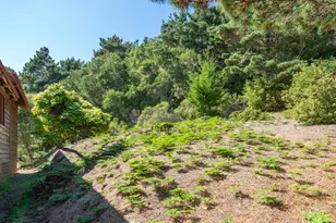 90 Dover Rd, Inverness, CA 94937 - Photo 38