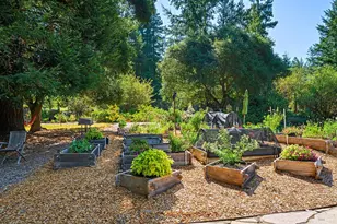 11032 Peaks Pike Rd, Sebastopol, CA 95472 - Photo 38