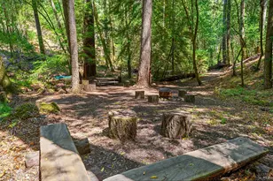 11032 Peaks Pike Rd, Sebastopol, CA 95472 - Photo 46