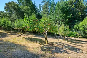 11032 Peaks Pike Rd, Sebastopol, CA 95472 - Photo 42