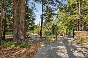 11032 Peaks Pike Rd, Sebastopol, CA 95472 - Photo 54