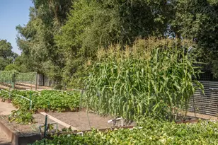 3027 Vichy Ave, Napa, CA 94558 - Photo 42