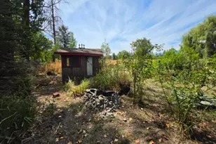 24135 Agency Rd, Covelo, CA 95428 - Photo 32