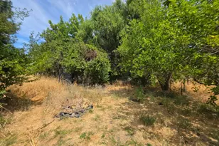 24135 Agency Rd, Covelo, CA 95428 - Photo 18