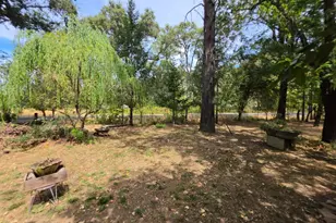 24135 Agency Rd, Covelo, CA 95428 - Photo 8