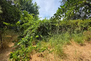 24135 Agency Rd, Covelo, CA 95428 - Photo 16