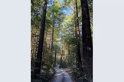 45400 Bill Owens Road, Point Arena, CA 95468 - Photo 4