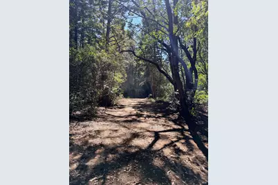 45400 Bill Owens Road, Point Arena, CA 95468 - Photo 1