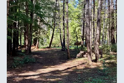 45400 Bill Owens Road, Point Arena, CA 95468 - Photo 8
