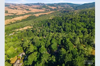 50 Fox Drive, Point Reyes Station, CA 94956 - Photo 92