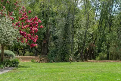 52 Cinnamon Teal Lane, Novato, CA 94949 - Photo 28