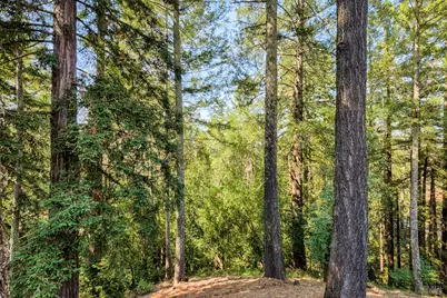 1015 Oak Mesa Drive, Santa Rosa, CA 95409 - Photo 28