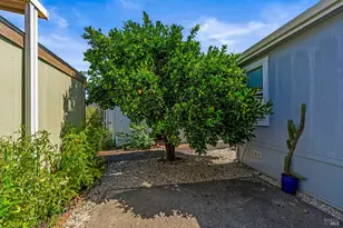 6468 Washington St, Yountville, CA 94599 - Photo 10